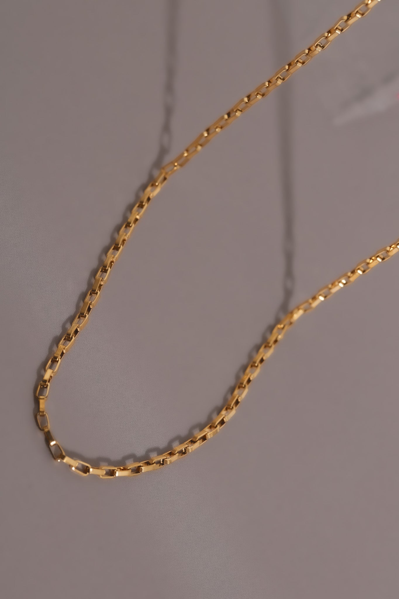 316L Azuki Chain Necklace 詳細画像1|Misy Jewelry