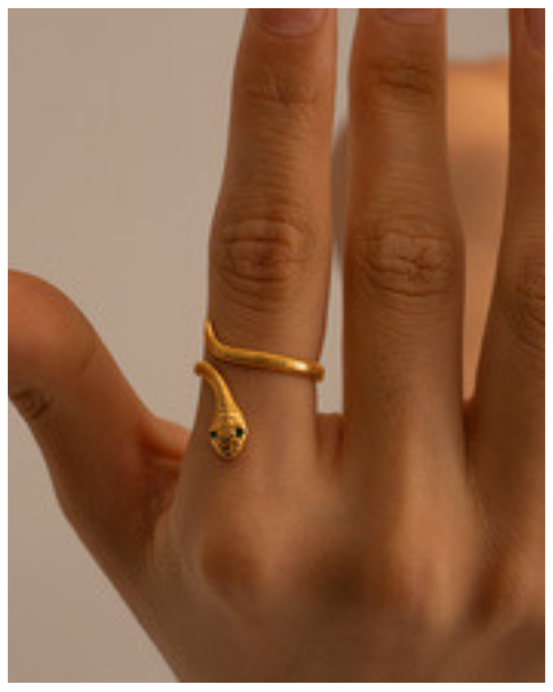 316L Snake Serpent Embrace Ring — ディテール | リング | サージカルステンレス316L | Misy Jewelry
