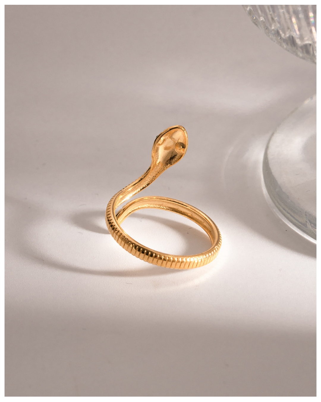 316L Snake Serpent Embrace Ring — ディテール | リング | サージカルステンレス316L | Misy Jewelry