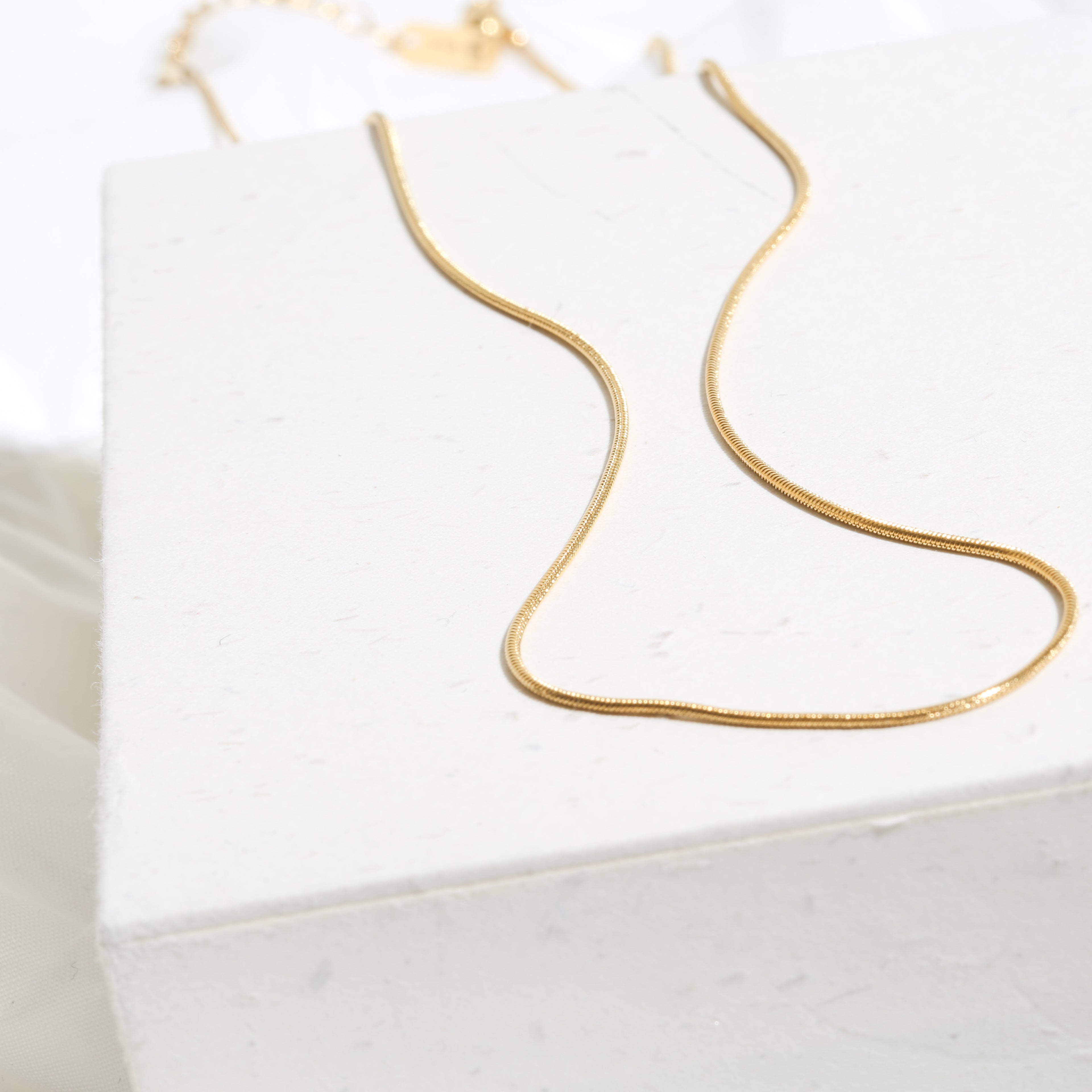316L Snake choker necklace 1mm — ディテール | ネックレス | サージカルステンレス316L | Misy Jewelry