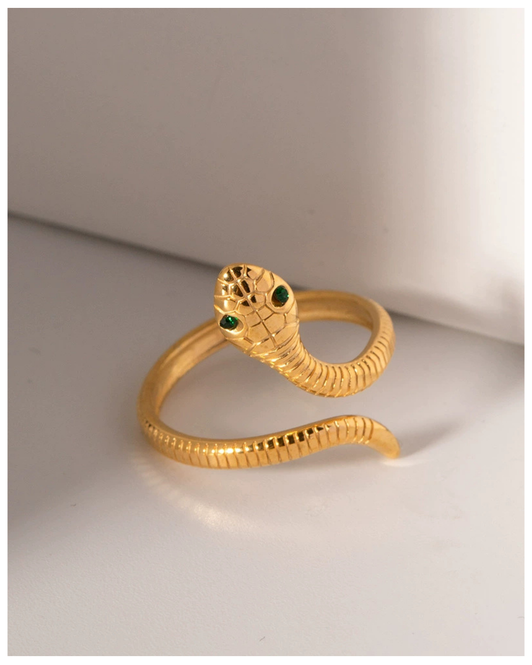 316L Snake Serpent Embrace Ring — ディテール | リング | サージカルステンレス316L | Misy Jewelry