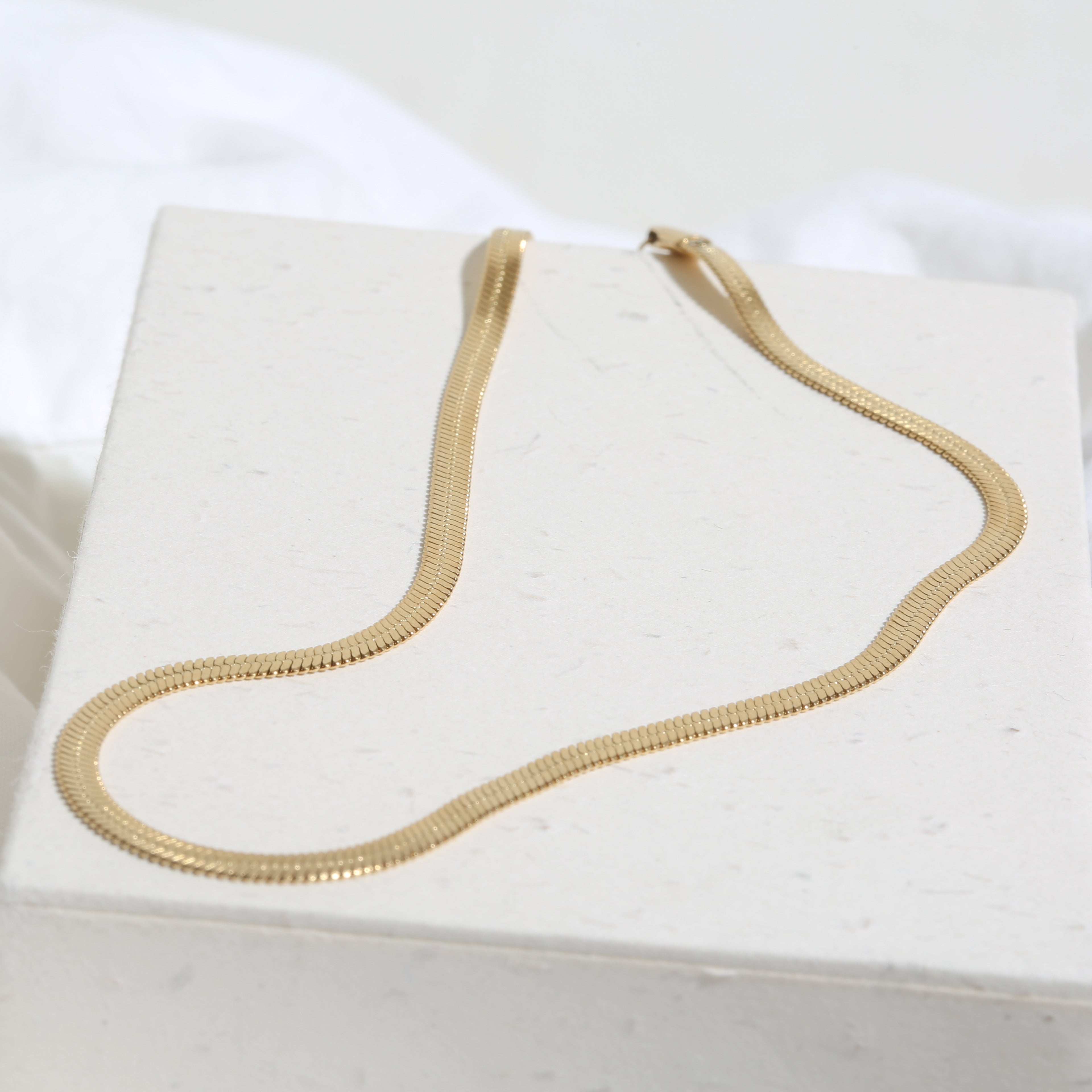316L Snake choker necklace 3mm - ネックレス｜Misy Jewelry